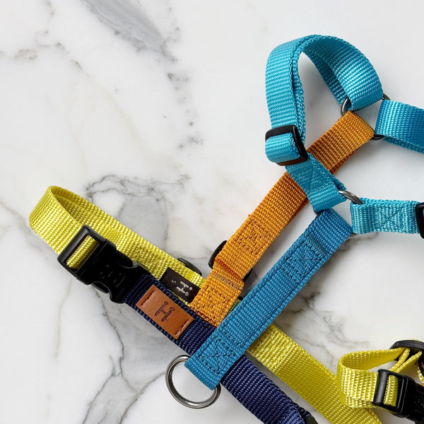 Limited Harness H (Summer Vibes)