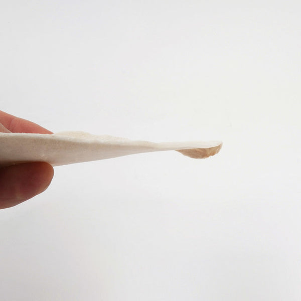 Freeze Dried Pork Loin