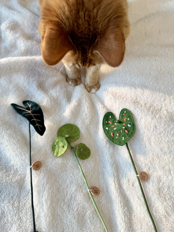 Plant Series Cat Toy
