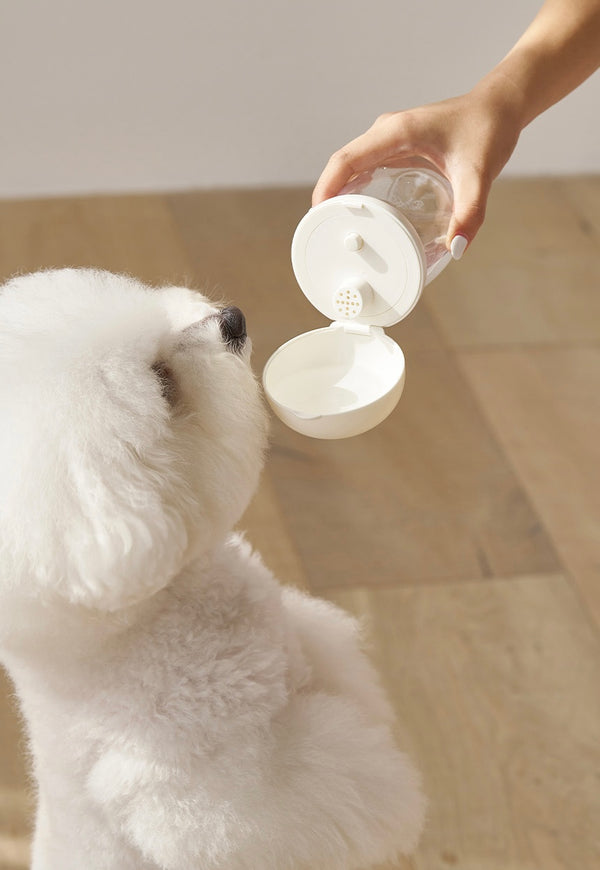 Portable One-Touch Water Bottle