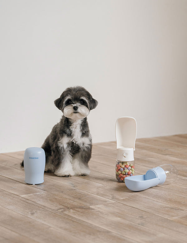 Portable Return Water Bottle