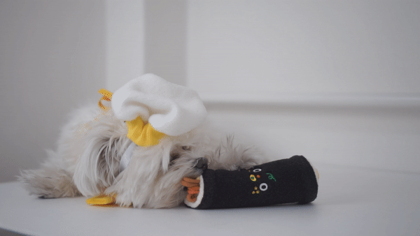 Mini Gimbap Nose Work Toy