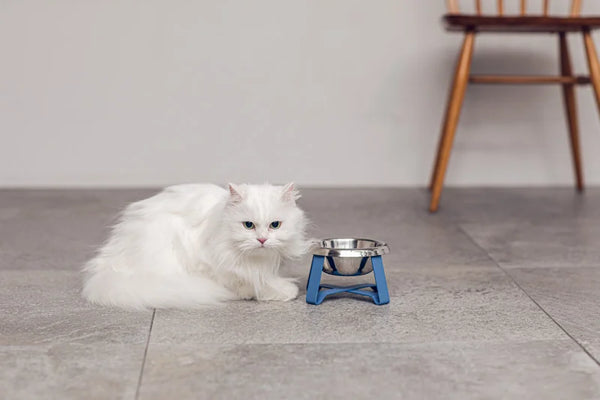 Food Stand Blue Grey