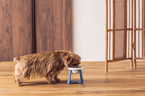 Food Stand Blue Grey