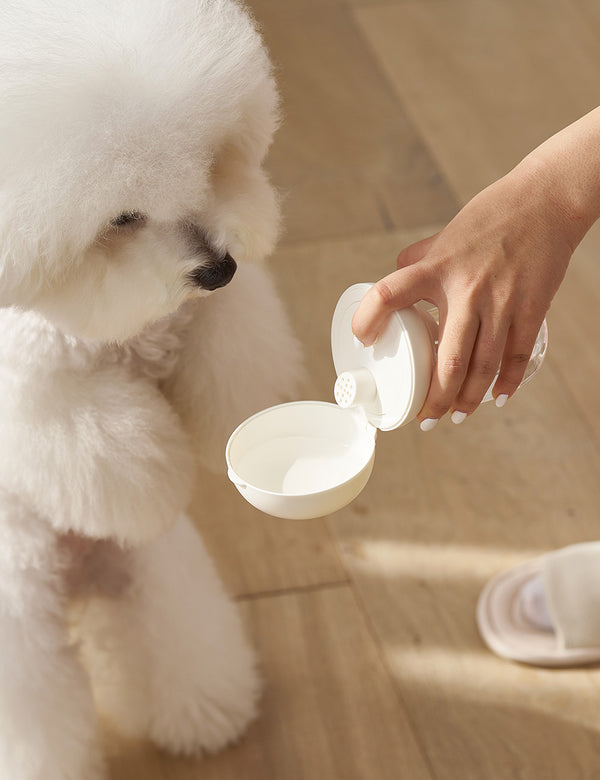 Portable One-Touch Water Bottle