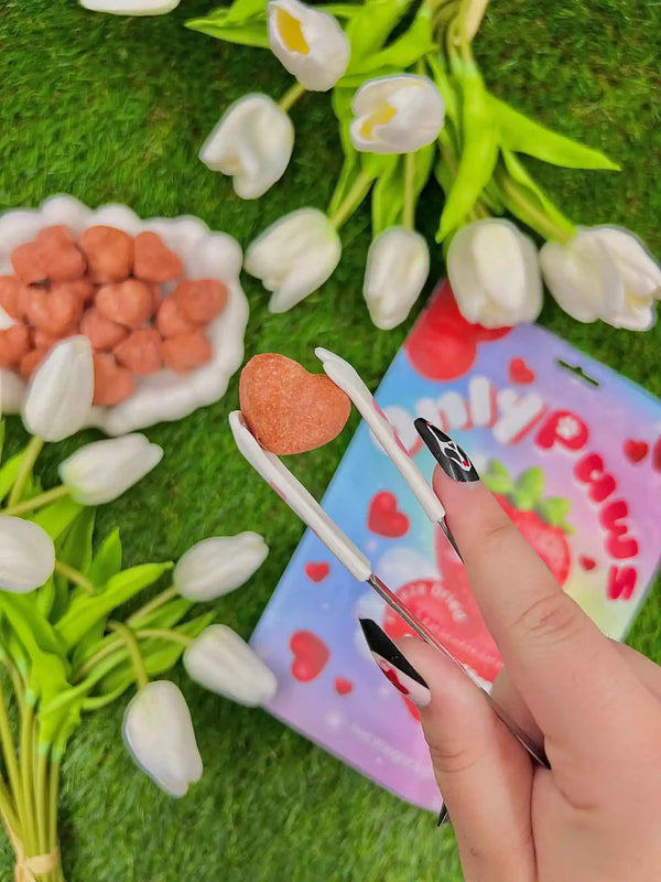 Freeze Dried Strawberry