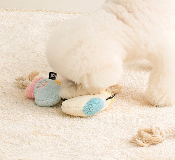 Socks Rope Tug Toy
