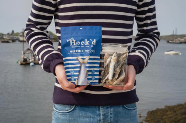Freeze Dried Herring Whole