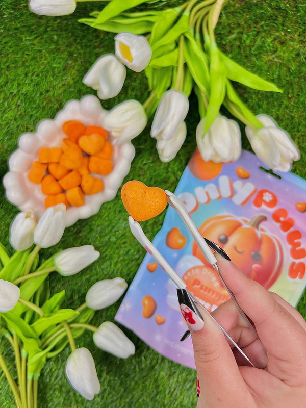 Freeze Dried Pumpkin