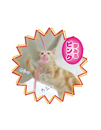 Crinkle String Teaser Toy