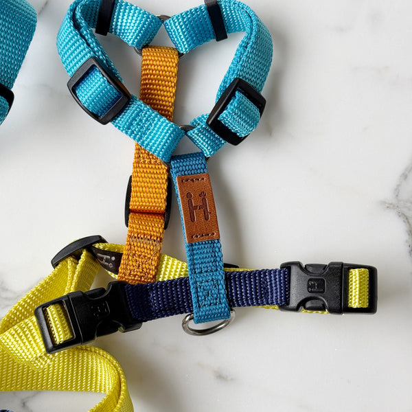 Limited Harness H (Summer Vibes)
