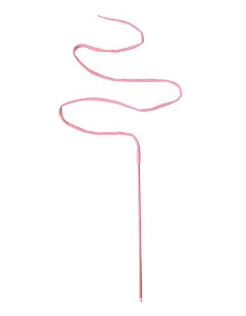 Crinkle String Teaser Toy