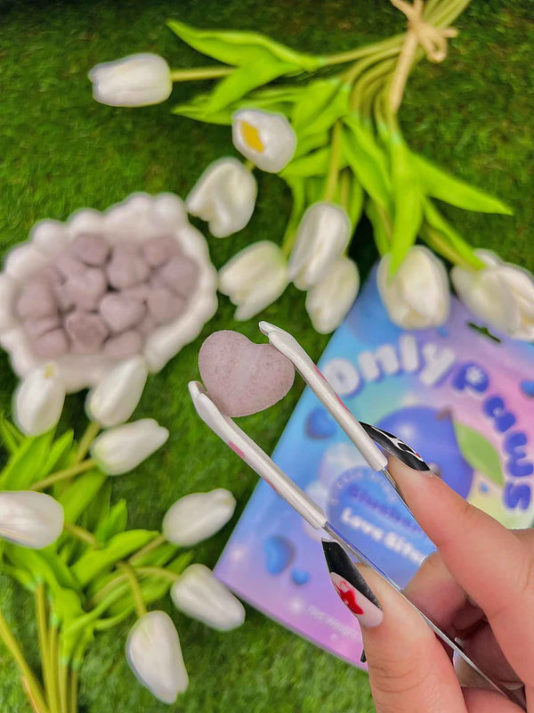 Freeze Dried Blueberry