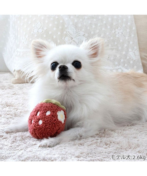 Fluffy Strawberry Toy