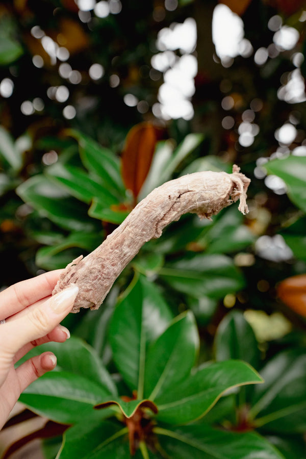 Freeze Dried Duck Neck