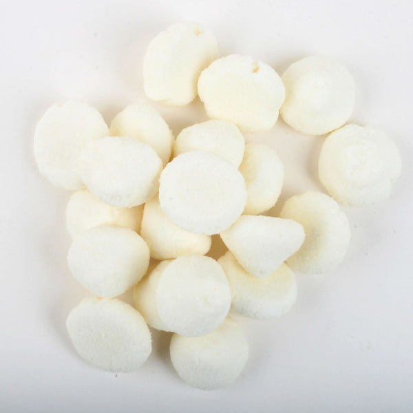 Freeze Dried Ricotta Cheese