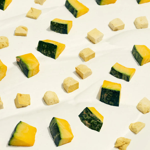 ANYTIME YOGURT! Freeze-dried Yogurt with Pumpkin