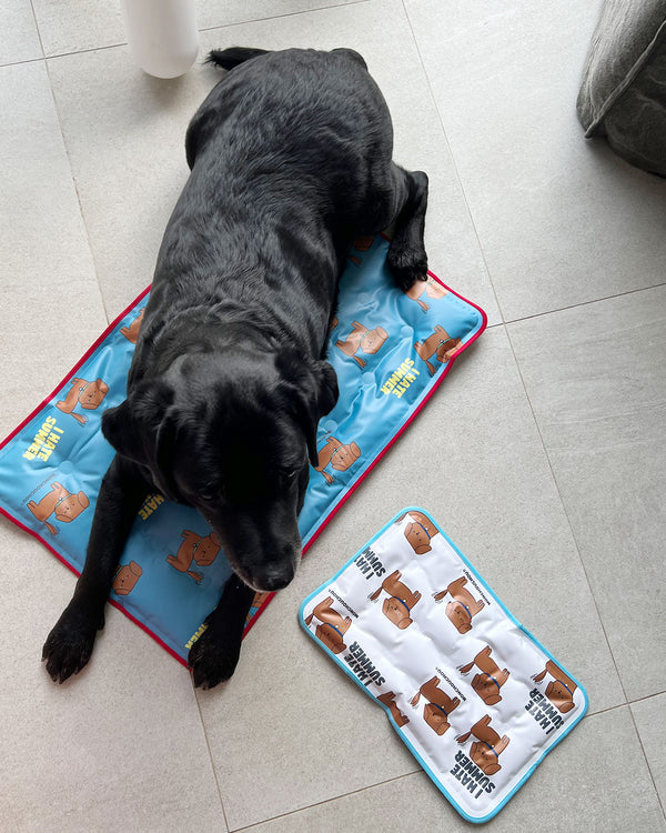 I HATE SUMMER Cooling Mat