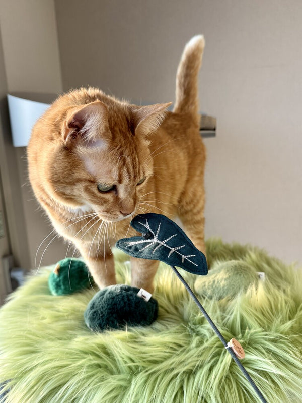 Plant Series Cat Toy