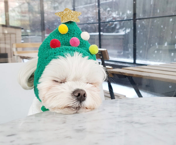 I’m Tree Pom Pom Hat