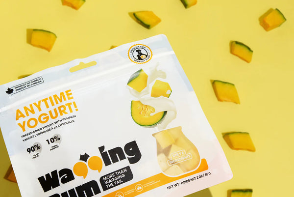 ANYTIME YOGURT! Freeze-dried Yogurt with Pumpkin