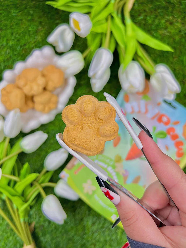 Freeze Dried Carrots