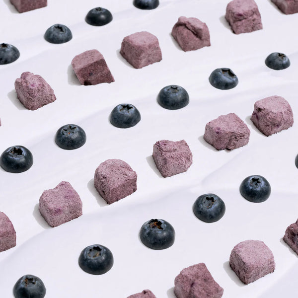 ANYTIME YOGURT! Freeze-dried Yogurt with Blueberry