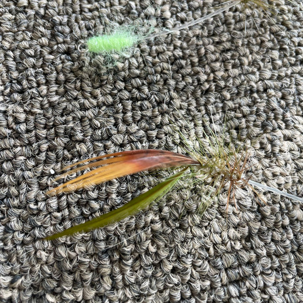 Mini Long Earwig Cat Teaser Refill Toy