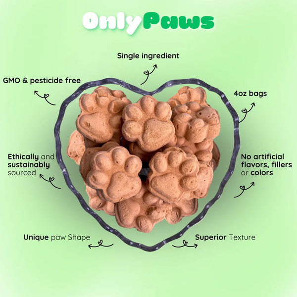 Freeze Dried Carrots