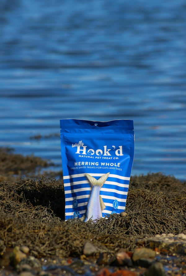 Freeze Dried Herring Whole