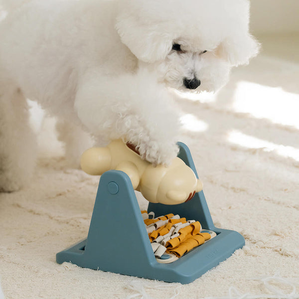 Spin & Snack Squirrel Toy