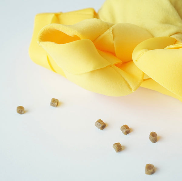 French Fries Nose Work Toy