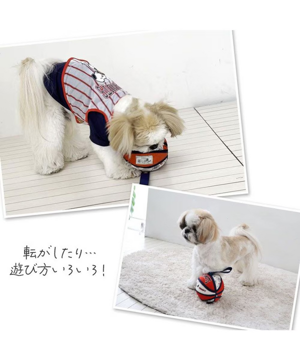 Snoopy Basketball Toy