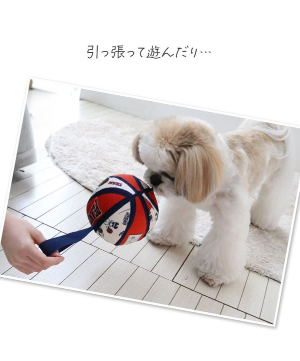 Snoopy Basketball Toy