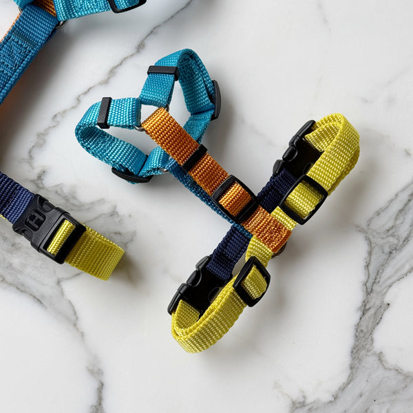 Limited Harness H (Summer Vibes)