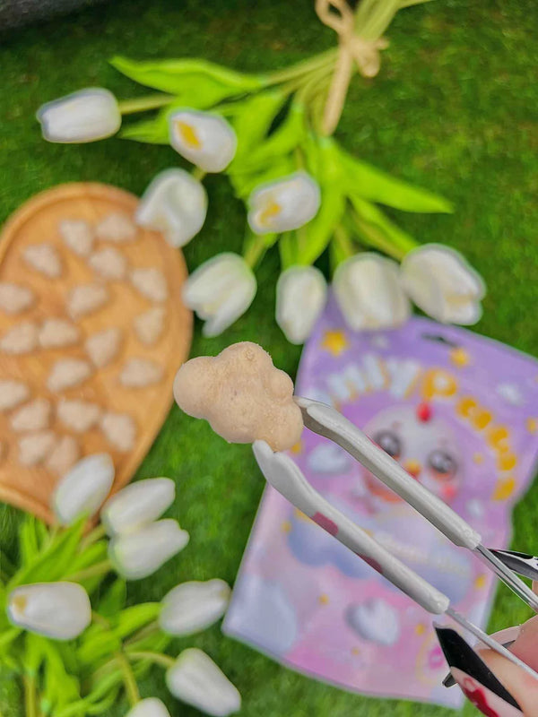 Freeze Dried Chicken