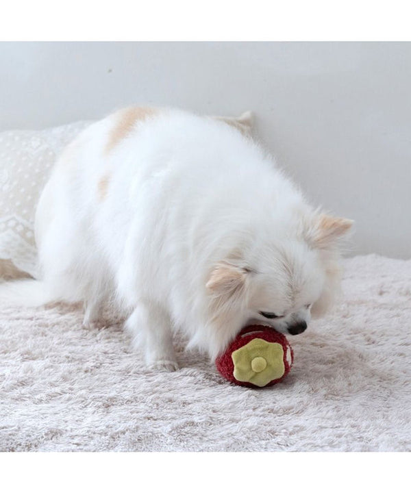 Fluffy Strawberry Toy