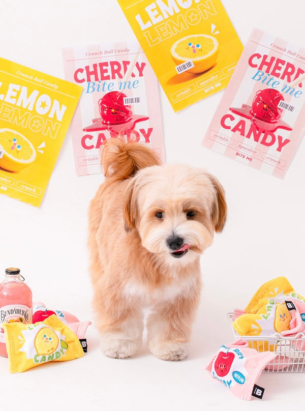 Crunchy Candy Ball Toy