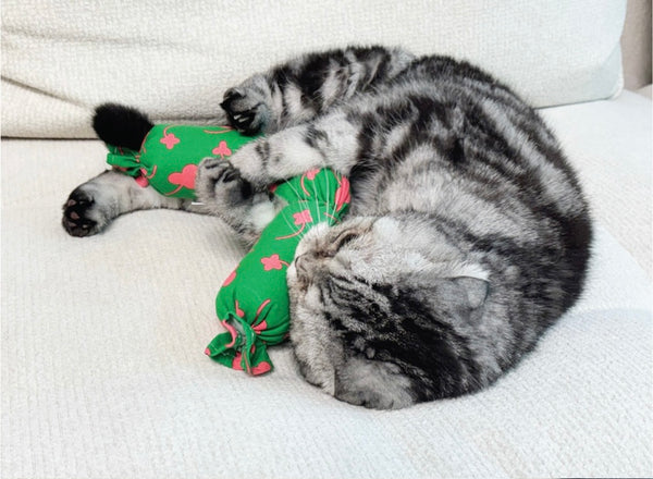 Pattern Viennyang Catnip Matatabi Cushion Toy
