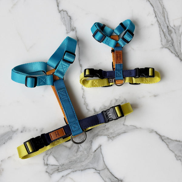 Limited Harness H (Summer Vibes)