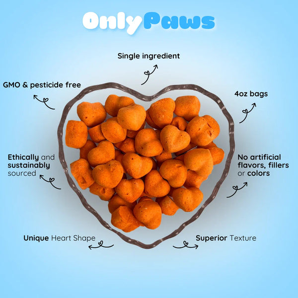 Freeze Dried Pumpkin