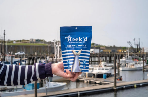 Freeze Dried Herring Whole