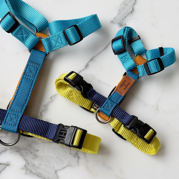 Limited Harness H (Summer Vibes)