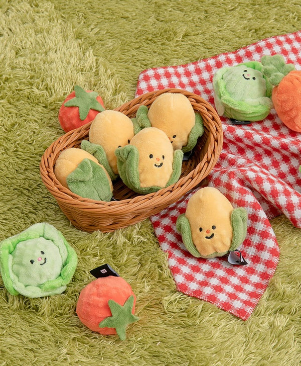 Vegetable Ball Toy