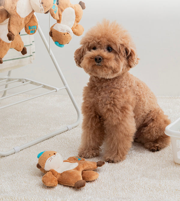 Hug Me Sea Otter Toy