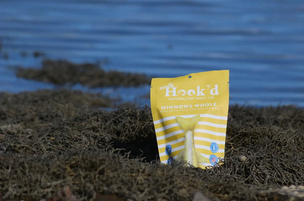 Freeze Dried Minnows Whole