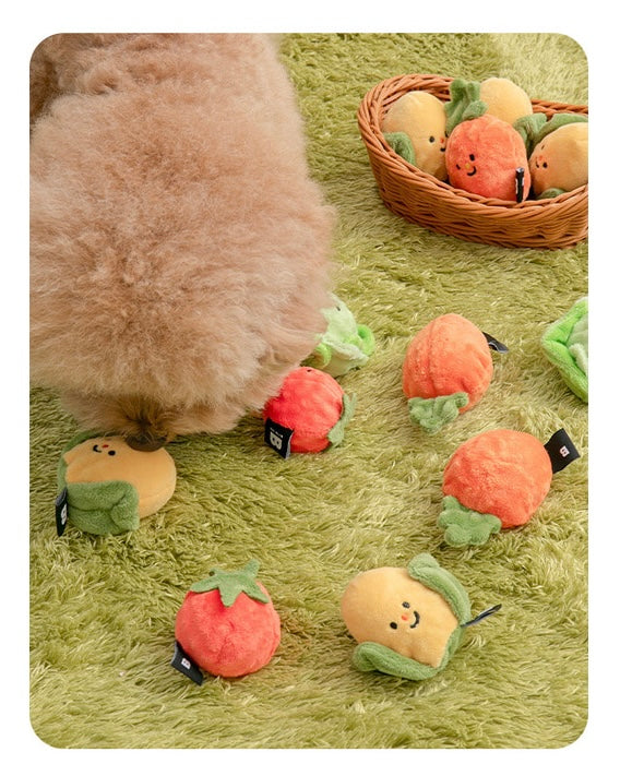 Vegetable Ball Toy