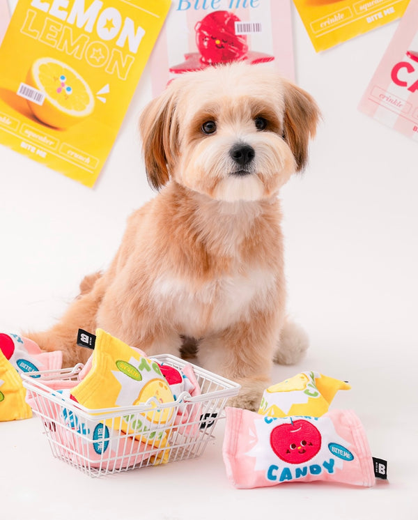 Crunchy Candy Ball Toy