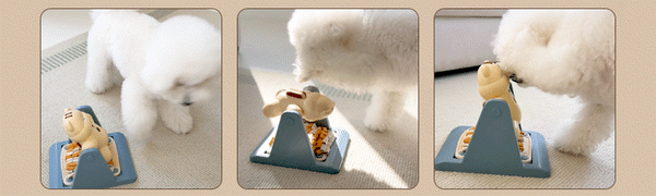 Spin & Snack Squirrel Toy