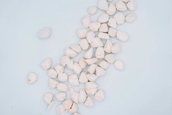 Freeze-Dried Scallops